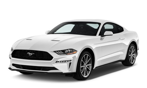 MUSTANG